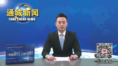 视频-宜昌市水利和湖泊局来通城调研农村供水工作
