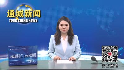 视频-通城县领导主动约访 力推化解信访积案