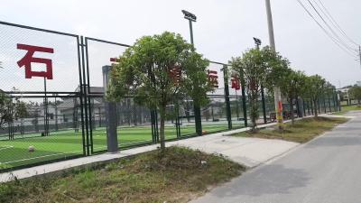 视频-捐赠球类器材  通城县文化和旅游局助力全民健身