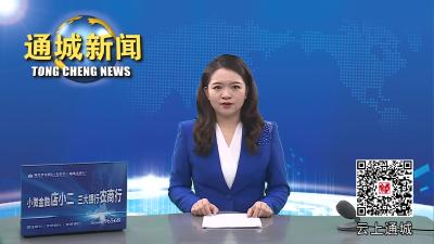 视频-2023年通城县水稻病虫害防控措施，速看！