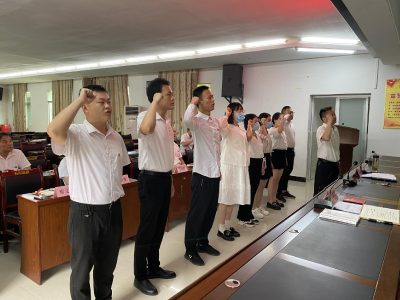 通城县石南镇举行新录用公务员宪法宣誓仪式