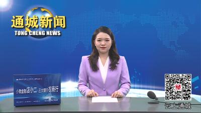 视频-通城县开展“百企兴百村  电商促消费”-荆楚购·农产品暨夏季工业品促销系列活动