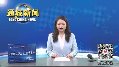 视频-通城县开展2023年共同缔造、产业发展、基础设施拉练检查