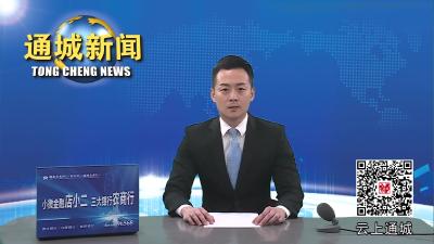 视频-通城县开展世界环境日宣传活动 