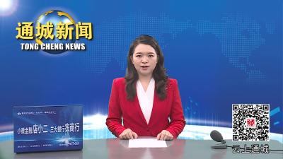 视频-通城县组织老干部参观考察并召开座谈会 