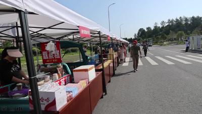 视频-通城县开展2023年“文化和自然遗产日”非遗宣传展示活动