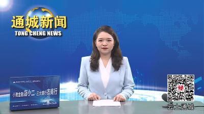 视频-通城县大坪乡：诗词文化进校园 着力创建“中华诗词之乡”