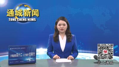 视频-省农民合作社来通城调研农民合作社发展情况 