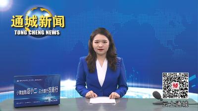 视频-【大兴调查研究之风】刘中英调研全县三级政务服务体系建设工作