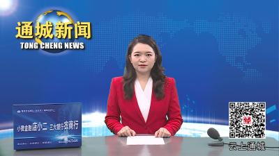 视频-【争先出彩 勇作示范】通城县五里镇：打造艾叶产业链 助推乡村振兴 