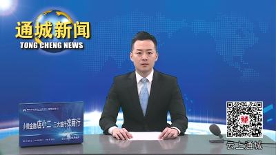 视频-通城县开展2023年“6.15安全生产宣传咨询日”集中宣传活动