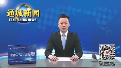 视频-通城县举行2023年第四期“一把手上讲台”活动
