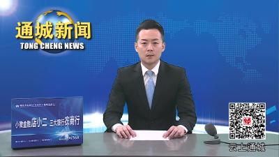 视频-刘中英调研康养项目建设工作 