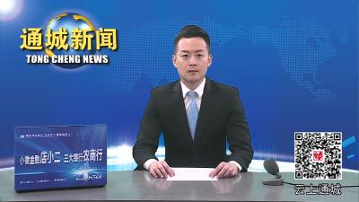 视频-通城县领导到塘湖镇调研社会矛盾纠纷多元化解机制工作 