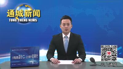视频-通城县委办公室开展2023年第六期支部主题党日活动 