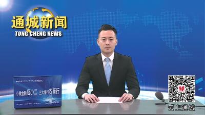 视频-通城县开展6·26国际禁毒日主题宣传活动
