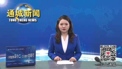 视频-守住钱袋子  护好幸福家 通城部署防范非法集资宣传工作