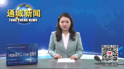 视频-15万+网友围观！通城开展庆“六一”暨第二届中小学生美育节优秀作品展演活动