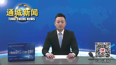 视频-通城县图书馆：送书进校园 书香润童心