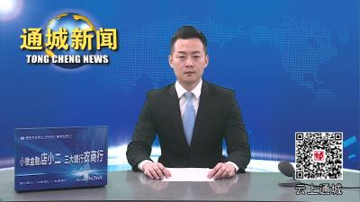 视频-当好人民满意的公务员！通城新入职公务员举行宪法宣誓 