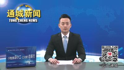视频-通城县委常委会2023年第11次会议召开