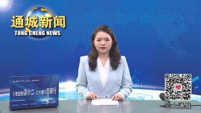 视频-通城：多部门联合开展“清风行动”  打击野生动植物非法贸易