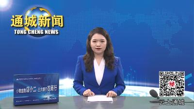 视频-通城县举行家庭助廉活动暨清廉书包漂流启动仪式