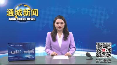 视频-武穴市自然资源和规划局来通城考察学习村庄规划经验