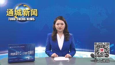 视频-梁细林来通城调研“一线协商·共同缔造”和传统古村落保护工作 