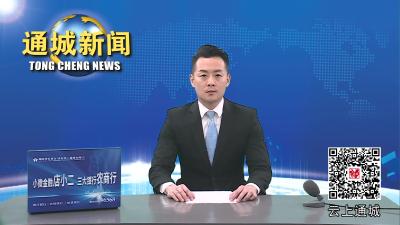 视频-通城加快推进引青济隽项目 