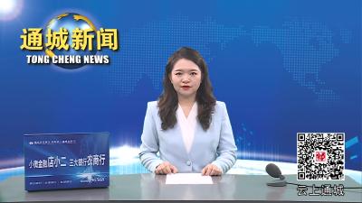 视频-夏季行动  通城公安启动夏季治安打击整治专项行动