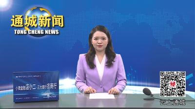 视频-王盛来通城调研全民国防教育工作