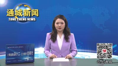 视频-通城县民政局：打造幸福养老新模式 让特殊老年人居家养老更有保障 
