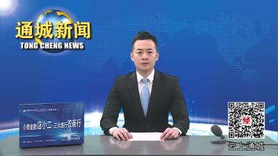 视频-2023年第7次通城县政府常务会召开 