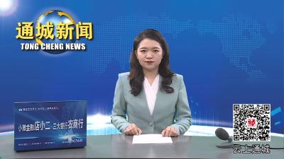 视频-通城县未成年人“牵手同行”结对帮扶行动正式启动 