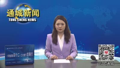 视频-乐建舜来通城调研公共体育资源供给情况