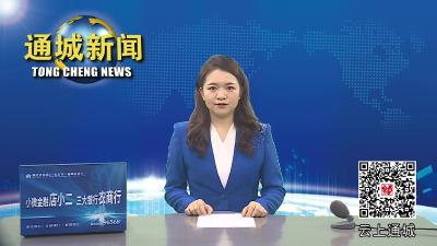 视频-通城县委常委会2023年第13次会议召开