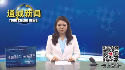 视频-通城县开展政务服务领域不担当不作为突出问题专项整治
