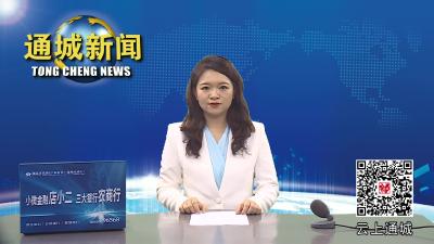 视频-国家乡村振兴局来通城开展优化巩固拓展脱贫攻坚成果同乡村振兴有效衔接考核评估工作调研