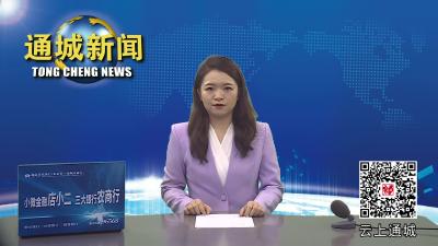 视频-通城县领导徒步巡查秀水河0727 