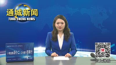 视频-2023年全省、全市迎峰度夏能源保供暨能源领域安全生产电视电话会议召开