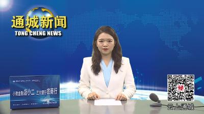 视频-通城县委教育工作领导小组第二次会议暨全县校园安全生产工作专业委员会第三次全体会议召开 