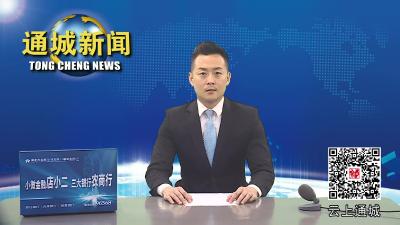 视频-湖北省中华诗词学会来通城考察验收“国家级诗教示范单位”创建工作 