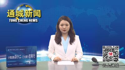 视频-通城县召开2024年元月份前拟投产项目推进督办会 