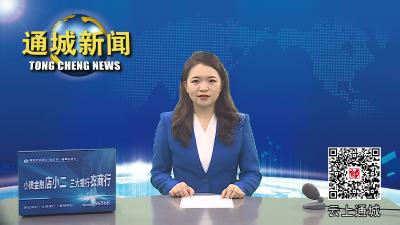 视频-省工商联来通城调研平安建设工作
