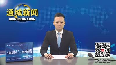 视频-杨修伟调研督办教育项目建设工作 