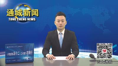 视频-通城县开展第二届“个体工商户服务月”集中宣传活动 