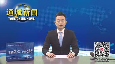 视频-市供销社到通城检查调研共同缔造工作 