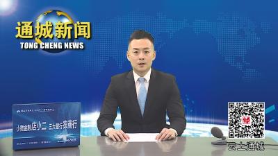 视频-通城县财税系统32名干部职工无偿献血9600毫升 