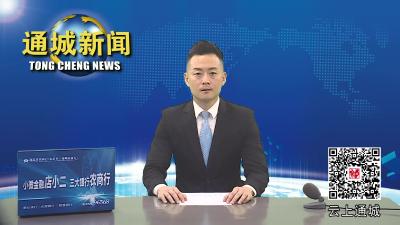 视频-通城县举行2023年改革项目现场评比活动 